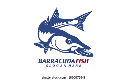 Barracuda fish design vector illustration, Creative Barracuda fish logo design concepts template, icon symbol