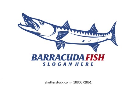 Barracuda fish design vector illustration, Creative Barracuda fish logo design concepts template, icon symbol
