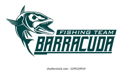 barracuda logo vector