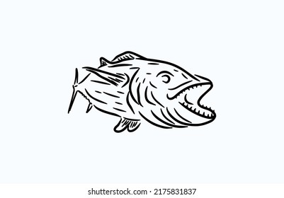 barracuda fish hand draw vector