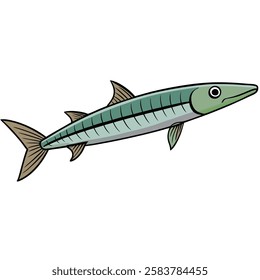 Barracuda fish isolated flat vector illustration on white background