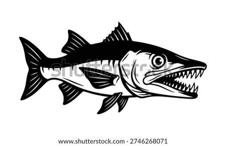 Barracuda fish with sharp teeth illustration Keywords: barracuda, fish, illustration, black and