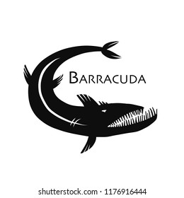 Barracuda fish for your design