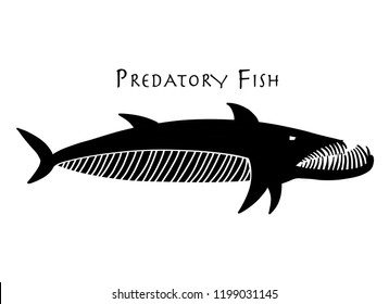 Barracuda fish for your design