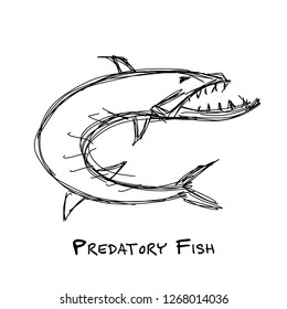 Barracuda fish for your design