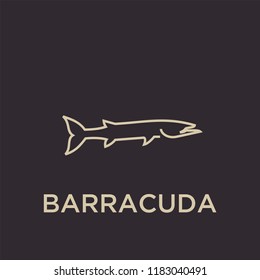 BARRACUDA logo icon designs vector