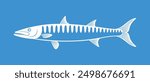 Barracuda logo. Isolated barracuda on white background