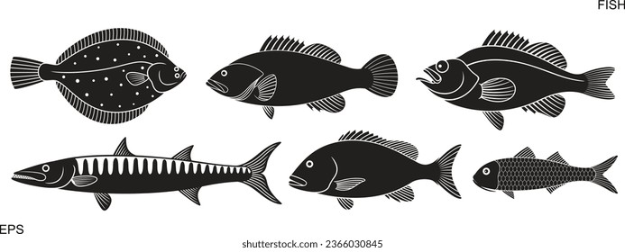 Logo de Barracuda. Baracuda aislada sobre fondo blanco
