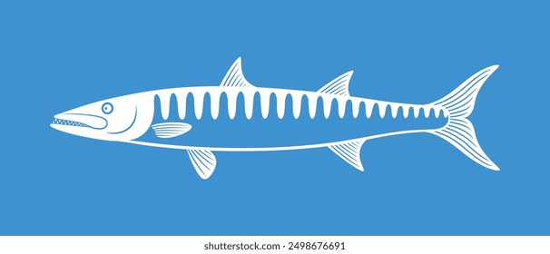 Barracuda logo. Isolated barracuda on white background