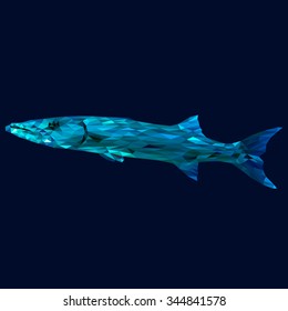 Barracuda in low polygon style on dark blue background, vector illustration