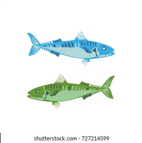 Barracuda sea fish