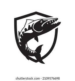 Barracuda shield logo design element