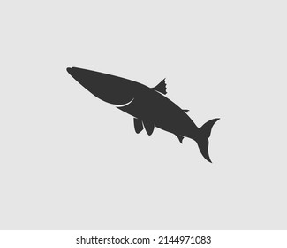 Barracuda Silhouette on White Background. Isolated Vector Animal Template for Logo Company, Icon, Symbol etc 