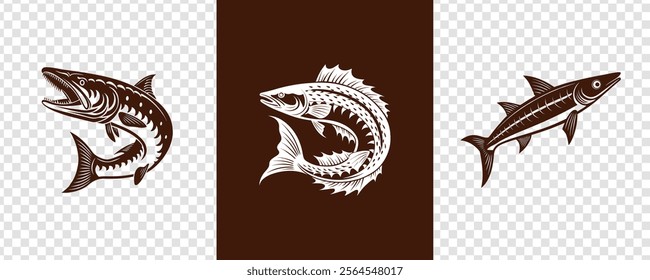 Barracuda vector design template item