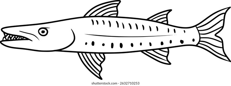 Barracuda Vector Outline Line Art Fish Drawing