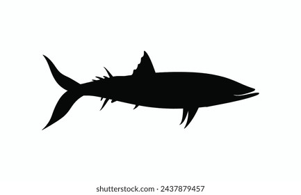Barracuda vector silueta de fondo blanco