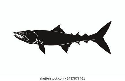 Barracuda vector silhouette white background