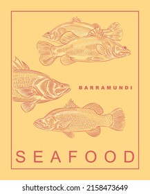 The Barramundi Or Asian Sea Bass, Illustration In Variations.