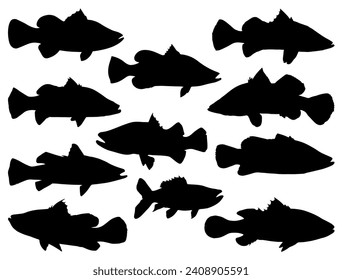 Barramundi fish silhouette vector art white background