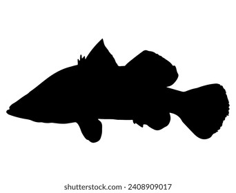 Barramundi fish silhouette vector art white background