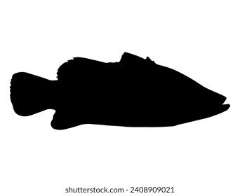Barramundi fish silhouette vector art white background