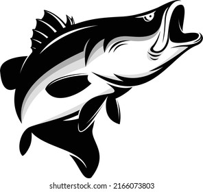 BARRAMUNDI FISH VECTOR FOR  SALTWATER FISHING LOGO COMPANY