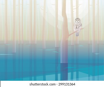 Barred owl standing on a tree in the middle of the misty swamp forest landscape vector illustration