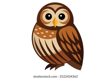 barred owl vector on white background