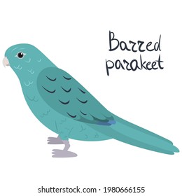 Barred parakeet, also known as lineolated, Catherine parakeet in cartoon style on white background. Vector hand drawn illustration. Bolborhynchus lineola