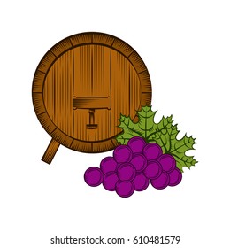 barrel with bunch of grape over white background. wine house concept. colorful design. vector illustration