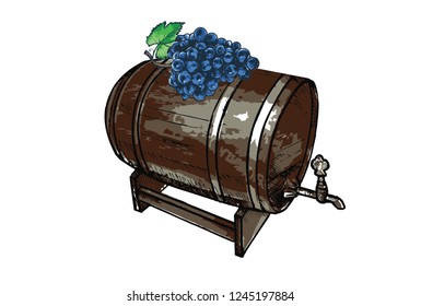 A barrel with a bunch of grapes, hand drawn Illustration.