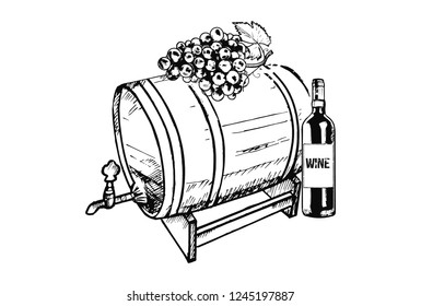 A barrel with a bunch of grapes and wine bottle, hand drawn Illustration.