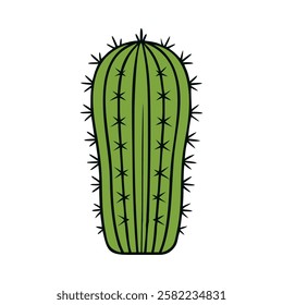 Barrel cactus botanical illustration isolated vector