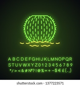 Barrel cactus in ground neon light icon. Echinocactus and Ferocactus. Barrel-shaped cacti. Native American flora. Glowing sign with alphabet, numbers and symbols. Vector isolated illustration