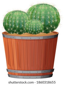 Barrel Cactus in a wooden pot on white background illustration