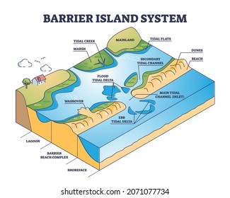 Barrier island systems as dune type and coastal landforms outline diagram. Labeled educational beach with lagoon and shoreface structure formation description from geological side vector illustration.