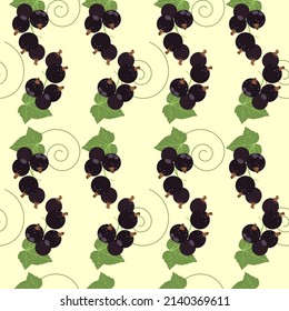 Barries summer pattern. Black currant. Collection of berries. Vector illustration of black berries for design menus, recipes and packages product.