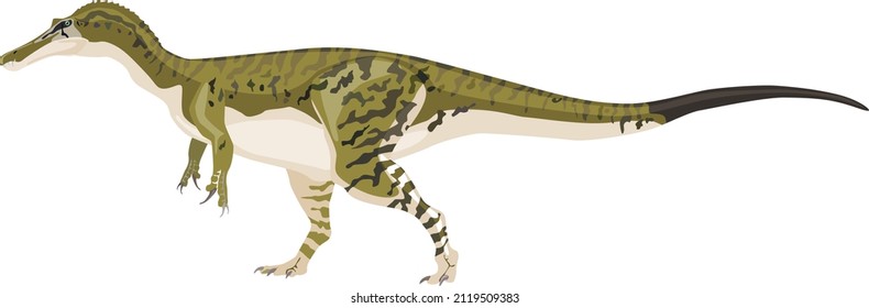 Baryonyx is a carnivorous dinosaur. Vector illustration