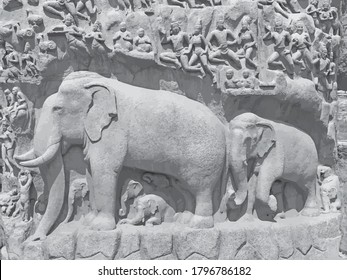 Bas relief rock cut sculptures of Elephant are carved in the monolithic granite rocks in Mahabalipuram, Tamil nadu. Ancient historical bas relief sculpture carved in the stone rock in Mahabalipuram.