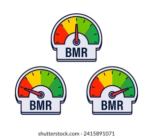 Basal Metabolic Rate BMR Assessment Gauges Vector Illustration with Caloric Requirement Indicators