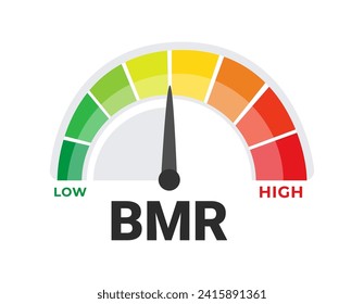 Basal Metabolic Rate BMR Evaluation Tool Vector Illustration with Caloric Burn Rate Spectrum from Low to High