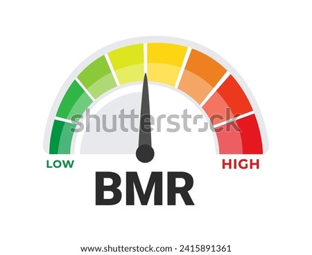 Basal Metabolic Rate BMR Evaluation Tool Vector Illustration with Caloric Burn Rate Spectrum from Low to High