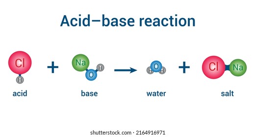 base and acid reaction. producing a salt and water. vector illustration isolated on white background.