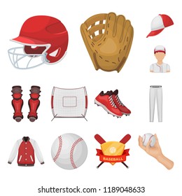 Baseball and attributes cartoon icons in set collection for design.Baseball player and equipment vector symbol stock web illustration.