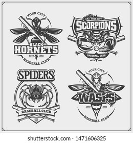 Baseball badges, labels and design elements. Sport club emblems with scorpion, wasp, hornet and spider. Print design for t-shirt.