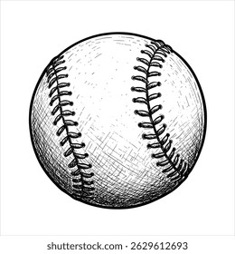 Baseball ball, baseball ball vector, sport equipment

