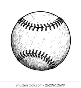 Baseball ball, baseball ball vector, sport equipment
