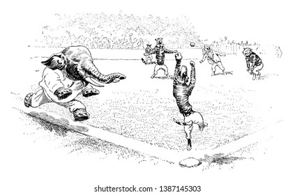 Béisbol en Jungleville 2, esta escena muestra un elefante, un tigre y otros animales jugando con la pelota, un elefante está corriendo, dibujo de líneas antiguas o ilustración de grabado