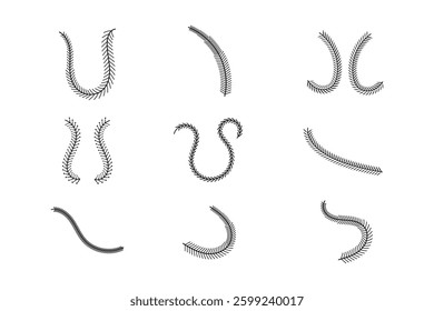 Baseball lace ball illustration isolated symbol set. Vector baseball background sport design.