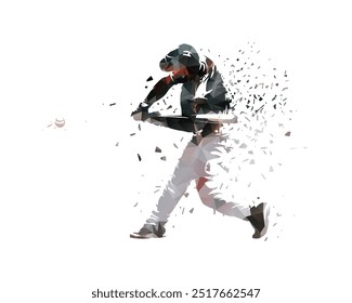 Baseball player, batter, low poly isolated vector illustration. Team sport athlete